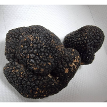 트러플버섯 50g 생트러플 송로버섯 블랙 썸머 트러플 프레쉬 Fresg Black Truffle, 1개