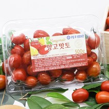 스테비아 대추방울토마토 망고맛토 망토맛토 고당도 대추방울토마토 1kg (500g X 2팩), 스테비아 방울토마토 1kg (500g X 2팩)