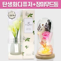 탄생화 디퓨저 선물 세트 10월 탄생화 카라 + 장미 무드등 남자 친구 여자 친구 남사친 여사친 선생님 직장동료 생일 집들이 결혼선물 실내 디퓨저 실내 방향제 디퓨져, 튤립, 핑크, 120ML