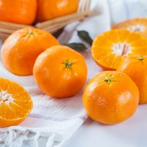 제주 프리미엄 명품 레드향 3kg 특대 대 선물용 추천, 02_제주 레드향 3kg(7과내외) 선물용