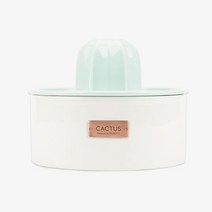 프로젝트21 선인장 젠에디션 고양이 강아지 정수기 세라믹 음수대 음수기 저소음 물분수, 선인장정수기+필터세트