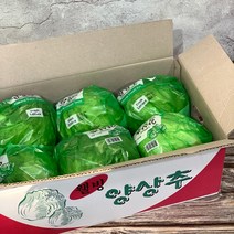 원동FS 국내산 양상추 6수 1박스
