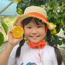 [후기보장] 제주 서귀포 햇 황금향! 꿀당도 가정용/선물용 추석선물세트, 1박스, 황금향5kg 소과벌크(가정용)