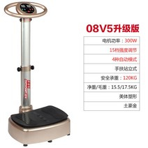 음파진동기 덜덜이 다이어트 홈트레이닝 스마트 음파 전신운동 기구, 금색