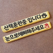 따봉공방 (산책훈련중입니다 눈으로예뻐해주세요) 강아지 산책 리드줄 인식표 네임택
