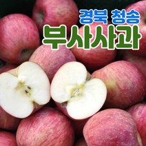 산지직송 경북 청송 사과 부사 5kg 10kg 가정용 정품 중소과 중과 대과, 정품용_부사, 5kg_중소과