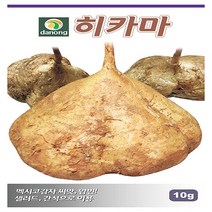 다농원예가든 히카마(얌빈)10g, 1개