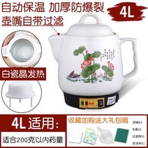 경옥고만들기 중탕기 전기 약탕기 홍삼 달이기 제조기, 4L 화이트