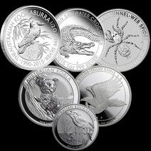 기념일 선물 인테리어 소품샵 6PCs 비자 성 호주 1 OZ 999 은화 악어 + Koo, 01 단일