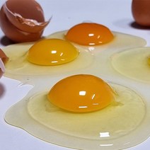 계란무항생제계란 구매률이 높은 추천 BEST 리스트를 발견하세요