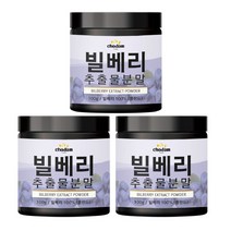 초담 빌베리 추출물분말 안토시아닌 가루 100g 3통