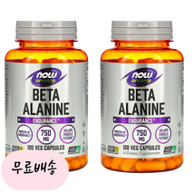 [나우푸드]-M2-베타 알라닌 카르노신 750mg 120개입[[2통]], 120개, 2개