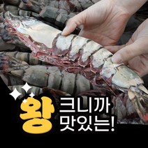 자연산 킹타이거 새우 1마리 최대 400g, S.킹타이거 1미 230-289g 31cm내외