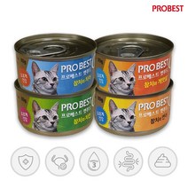 프로베스트 캣푸드 고양이 간식캔, 4종콤보, 24개
