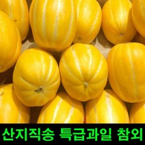 로컬바스켓 참외 칠곡벌꿀참외 과일산지직송 맛있는참외 참외2.5kg 참외직거래 로컬푸드