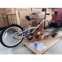 자전거트레일러 자전거 수레 웨건 수출 어린이 부모 자식 트레일러 산악 트레일러 걷는 아기 유물 야외 승마 장비 단일 속도 트레일러, 20인치, 은