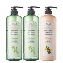 댕기머리 [댕기머리]허벌 스케일링 샴푸 1000ml 2개 + 트리트먼트, 단품없음