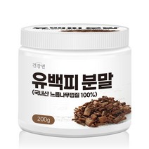 건강앤 국내산 느릅나무 유근피 유백피 분말 200g 계량스푼 증정, 1통 200g