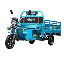 3륜 오토바이 팜트럭 농업용 트럭 삼륜 삼발이 화물용, 1.3m X0.9m+60V20A 배터리