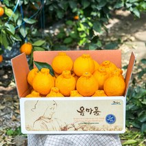 [옴마품]특고당도 제주 한라봉 4.5kg중과(16-19)-고당도추천