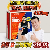 조원희 아미노산 영양제 BCAA 아미노산 보충제 아미노 필수 아르기닌 류신 엘아르기닌, 2개, 4.5g