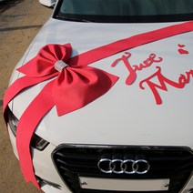 매리앤디자인 흠집없는 고퀄리티 핸드메이드 웨딩카 장식, 5-1레드큐빅세트(대형)(하트3종 증정행사 종료), 1개