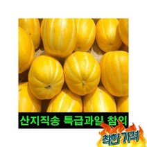 고씨네 산지직송 참외10kg 개구리참외 성주참외 참외