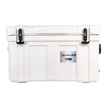 차량용 캠핑용 보냉박스 아이스박스 미니아이스박스 캠핑 75L 용량, White, China, WHITE