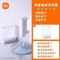 휴대용 구강 세정기 치석 제거 교정, Xiaomi치아헹굼기