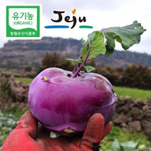 아삭아삭 고당도 제주산 농장직송 제주 햇 콜라비 3kg 5kg 10kg, 3. 제주 콜라비 10kg, 1개