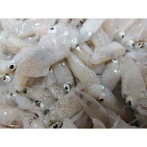호래기 꼴뚜기500g 1kg (예약주문) 생물 호래기 생 꼴뚜기, 생호래기(생꼴뚜기) 500g