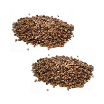 결명자 결명자차 무첨가물 국내산 300g 2팩, 단품, 단품
