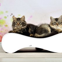 (주)퍼스트무버 독일제 정품 캣온 캣퍼니쳐 535x155x260mm 르베 202.101 S 독일산 포름알데히드프리, 1개