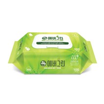 에버그린 물티슈 100매 캡형 10개
