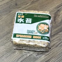 [RA㏓] 천연 건조 압축 수태 75g 난재배용 토피어리만들기 물이끼 급수태 어리용 난용 자생란용 ▷_§Ea, 《본상품》, 옵션▨없음