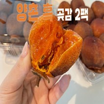 양촌 완주흑 함양 동상 곶감 2팩