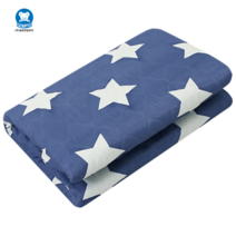 한일 전기장판 전기요, 블루스타 소형