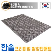 한솔 프리미엄 논슬립 안전 활성탄 전기매트 싱글(105x200) 더블(150x200), C형-싱글, 싱글
