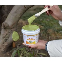 나무 상처 보호제 수목 식물 치료 도포제 화분 영양제, 600g 그린, 1개