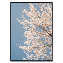 제주 꽃 2 시즈닝 그라피 작가 아름다운 제주도의 풍경 아날로그 감성 필름 벚꽃 사진 작품 풍수 인테리어액자, 매트 그레이 알루미늄 프레임