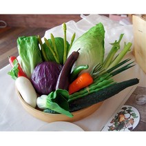 어린이집 야채 미니어처 모형물 소품샵 미니장식 카페인테리어, 쪽파