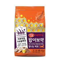 밥이보약 전연령 빛나는 피모 고양이 건식사료, 5개