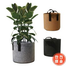 부직포 블루배리 화분 베란다 텃밭 대파 키우기 2갤런 20x20, 1화분2갤런-블랙
