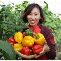 산지직영 가정용 못난이 빨강 노랑 햇파프리카 3kg 5kg