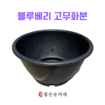 블루베리 고무 환분 (42cm~70cm), 1개
