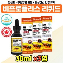 항산화 비프로폴리스 영양제 리퀴드 성장기 수험생 BEE PROPOLIS 플라보노이드 장모님 부모님 효도 선물 비 프로폴리스 추출물 구강 향균 온 가족 청소년 주부 여자 남자 30대, 프로폴리스리퀴드 x3통