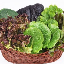 [당일수확발송] 유기농 모듬 쌈채소(야채) 600g, 단품
