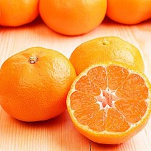 (보섭이네푸드) 20만원 이상 구매시 2만원 SSGPAY머니 증정 바로배송 보섭이네푸드 가락시장 직송 유...
