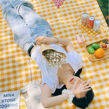 (1+1)감성 체크 휴대용 방수 접이식 돗자리 캠핑 피크닉 한강 150*200, 네이처2