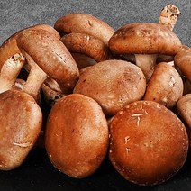 농부마음 장흥 생 표고버섯 1kg 버섯